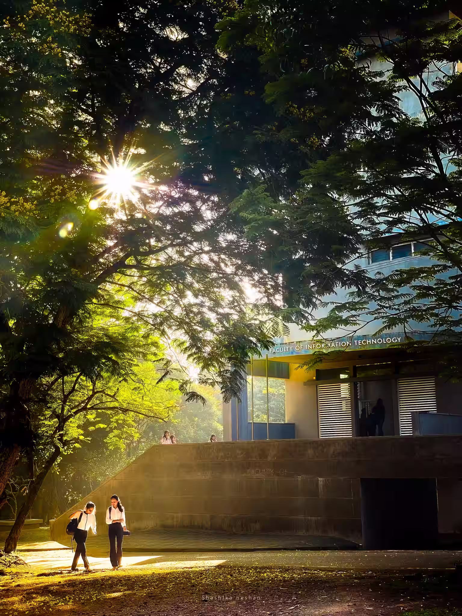 The Origin Story: Why We Built Luma